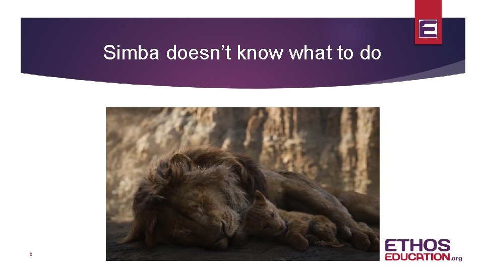 Simba doesn’t know what to do 8 