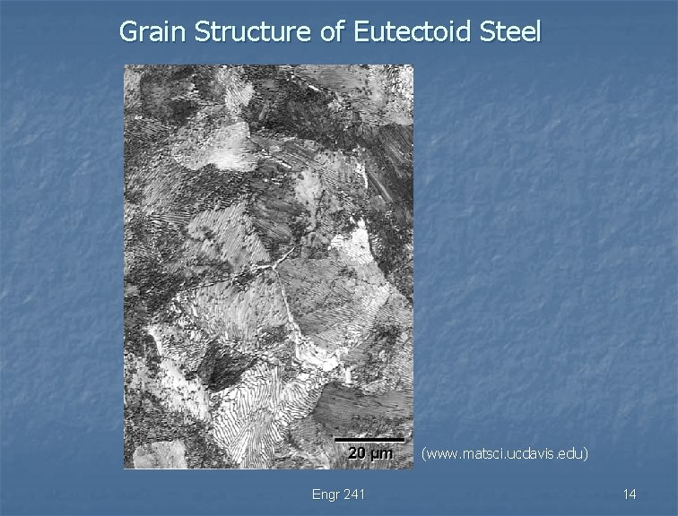 Grain Structure of Eutectoid Steel (www. matsci. ucdavis. edu) Engr 241 14 