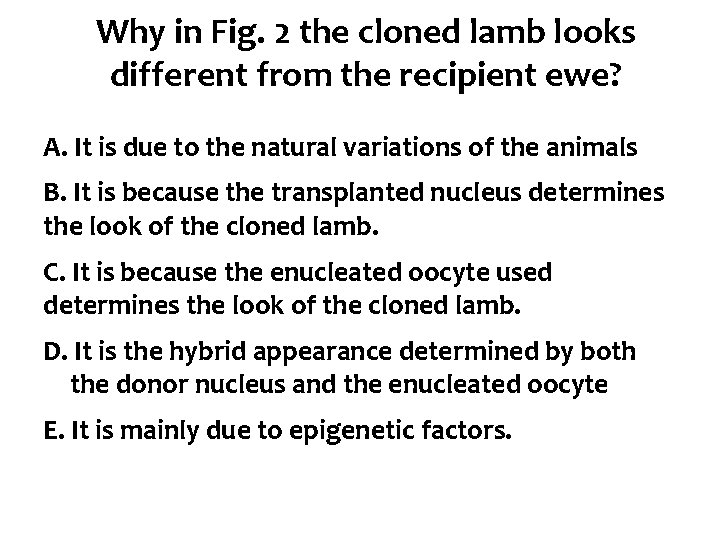 Why in Fig. 2 the cloned lamb looks different from the recipient ewe? A.