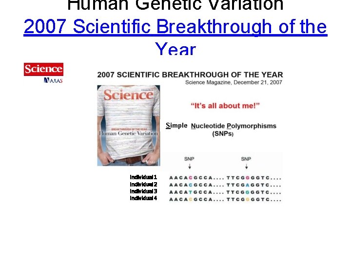 Human Genetic Variation 2007 Scientific Breakthrough of the Year Simple Individual 1 Individual 2