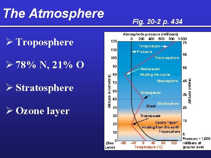 The Atmosphere Ø Troposphere Ø 78% N, 21% O Ø Stratosphere Ø Ozone layer