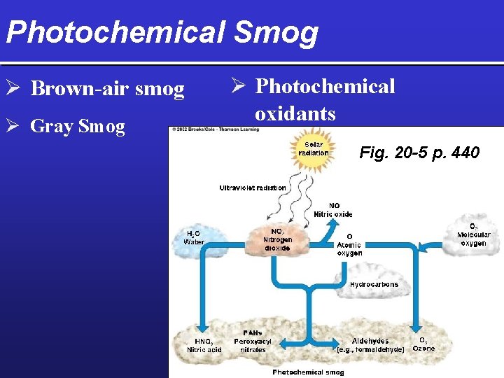 Photochemical Smog Ø Brown-air smog Ø Gray Smog Ø Photochemical oxidants Fig. 20 -5