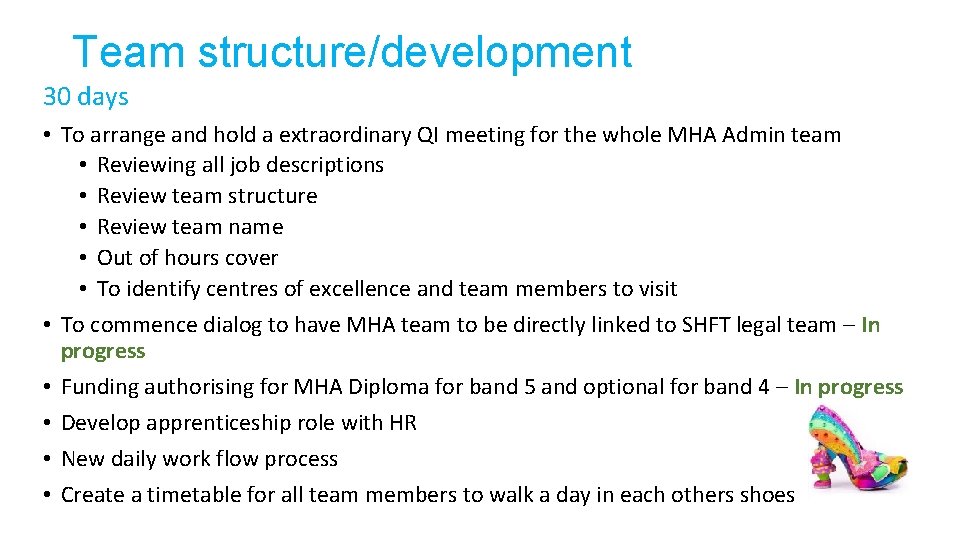 Team structure/development 30 days • To arrange and hold a extraordinary QI meeting for