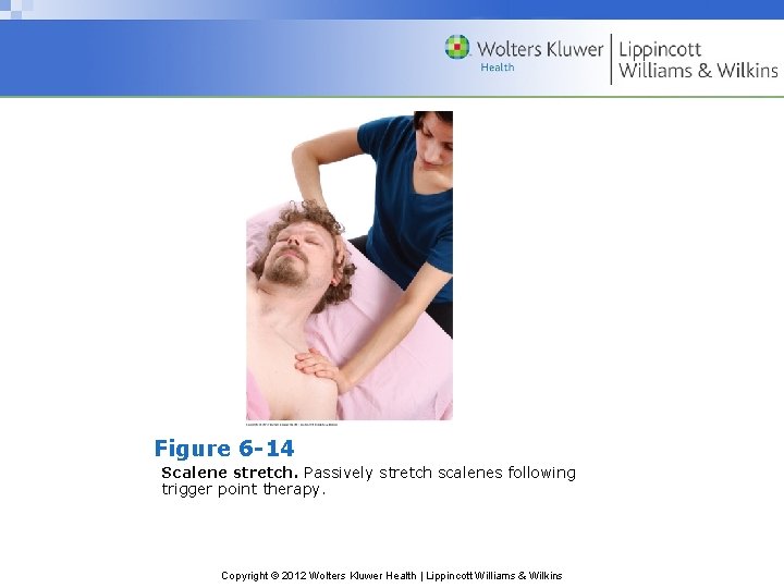 Figure 6 -14 Scalene stretch. Passively stretch scalenes following trigger point therapy. Copyright ©