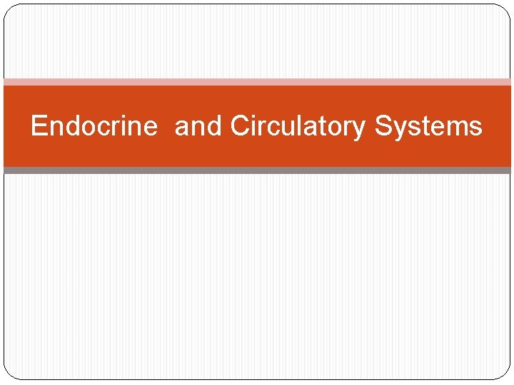Endocrine and Circulatory Systems 