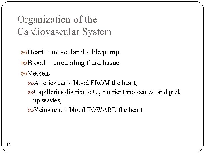 Organization of the Cardiovascular System Heart = muscular double pump Blood = circulating fluid