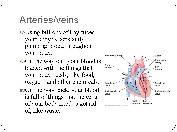Arteries/veins Using billions of tiny tubes, your body is constantly pumping blood throughout your