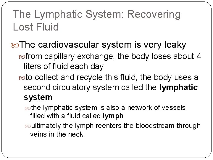 The Lymphatic System: Recovering Lost Fluid The cardiovascular system is very leaky from capillary