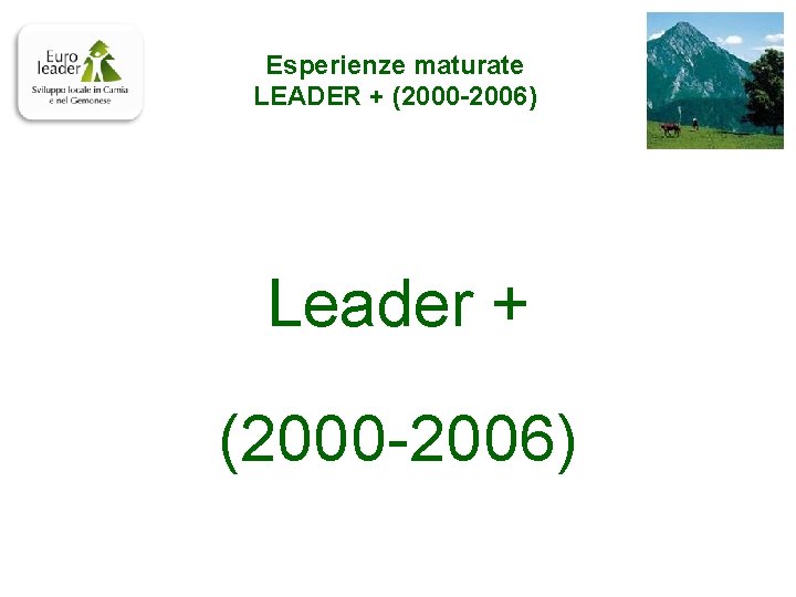 Esperienze maturate LEADER + (2000 -2006) Leader + (2000 -2006) 
