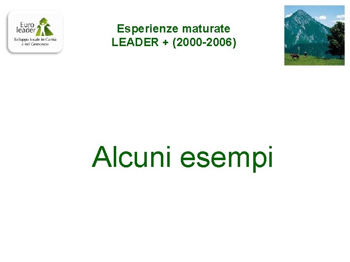 Esperienze maturate LEADER + (2000 -2006) Alcuni esempi 