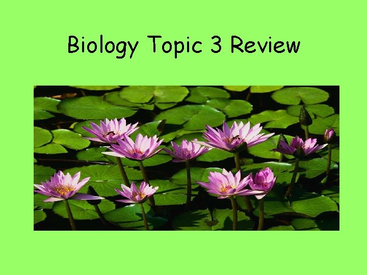 Biology Topic 3 Review 