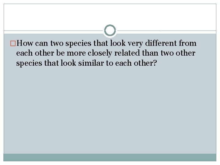 �How can two species that look very different from each other be more closely