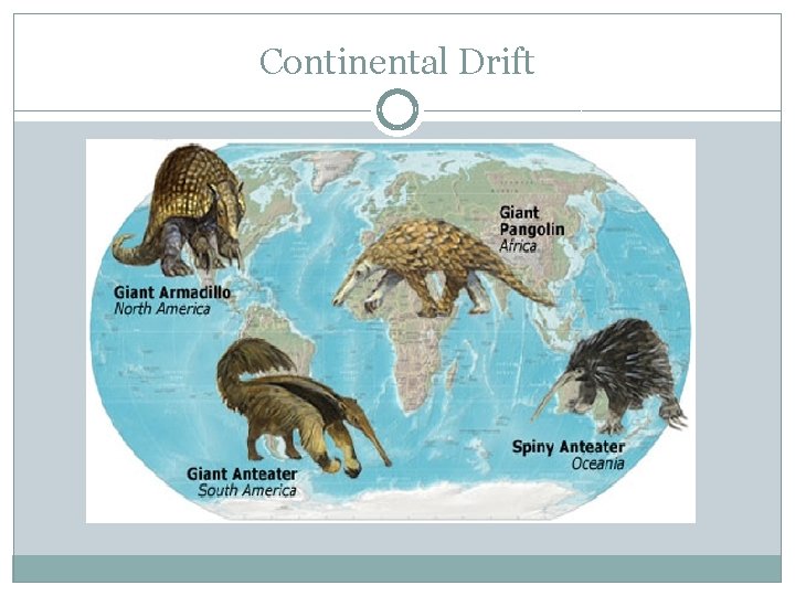 Continental Drift 