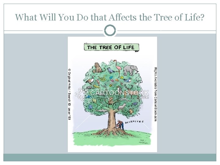 What Will You Do that Affects the Tree of Life? 