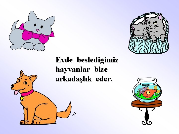 Evde beslediğimiz hayvanlar bize arkadaşlık eder. 