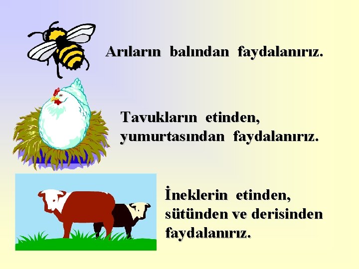 Arıların balından faydalanırız. Tavukların etinden, yumurtasından faydalanırız. İneklerin etinden, sütünden ve derisinden faydalanırız. 