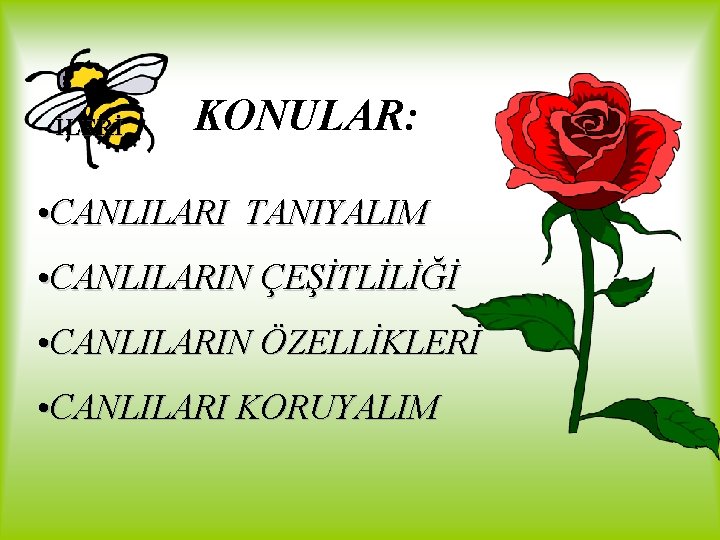 İLERİ KONULAR: • CANLILARI TANIYALIM • CANLILARIN ÇEŞİTLİLİĞİ • CANLILARIN ÖZELLİKLERİ • CANLILARI KORUYALIM