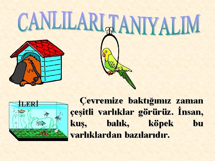 İLERİ Çevremize baktığımız zaman çeşitli varlıklar görürüz. İnsan, kuş, balık, köpek bu varlıklardan bazılarıdır.