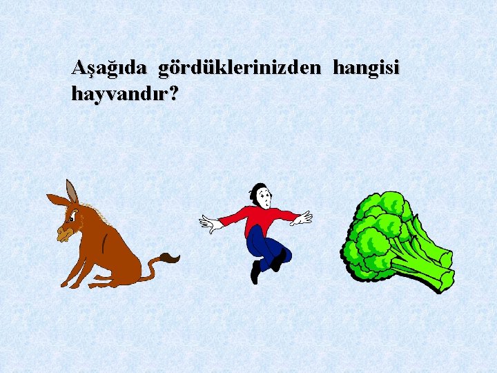 Aşağıda gördüklerinizden hangisi hayvandır? 