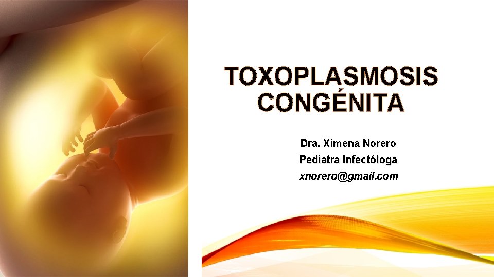 TOXOPLASMOSIS CONGÉNITA Dra. Ximena Norero Pediatra Infectóloga xnorero@gmail. com 