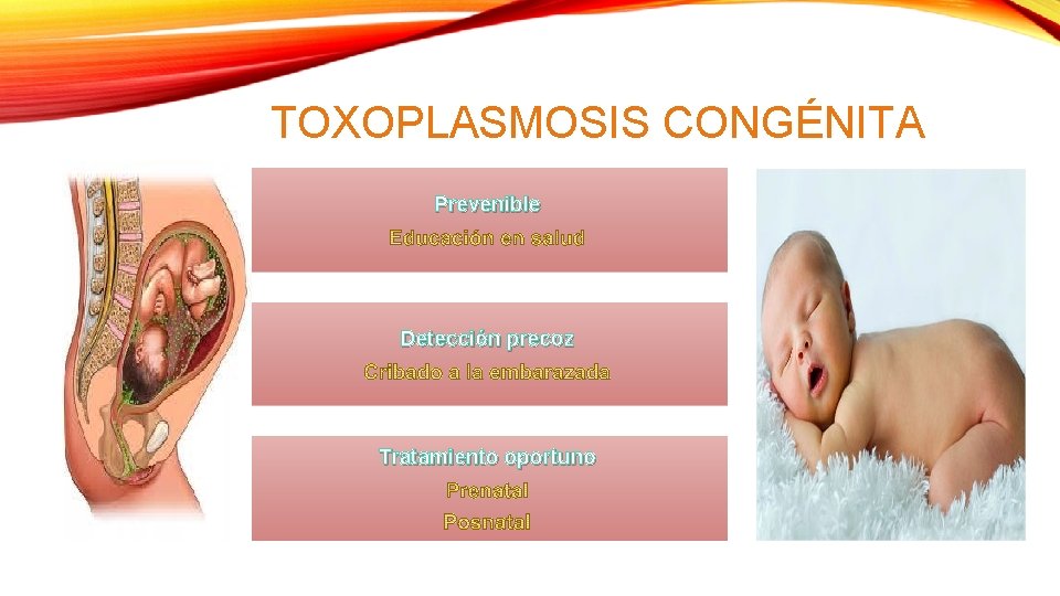 TOXOPLASMOSIS CONGÉNITA Prevenible Detección precoz Tratamiento oportuno 