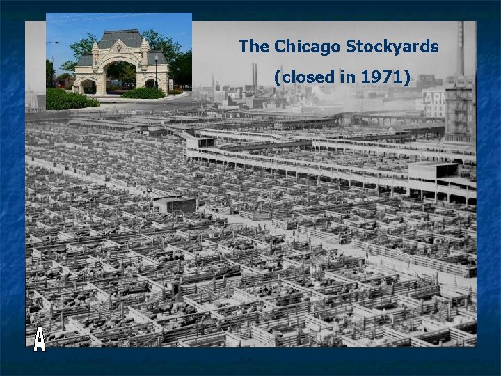 The Chicago Stockyards (closed in 1971) 
