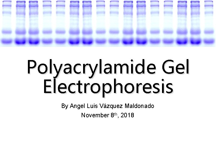 Polyacrylamide Gel Electrophoresis By Angel Luis Vázquez Maldonado November 8 th, 2018 