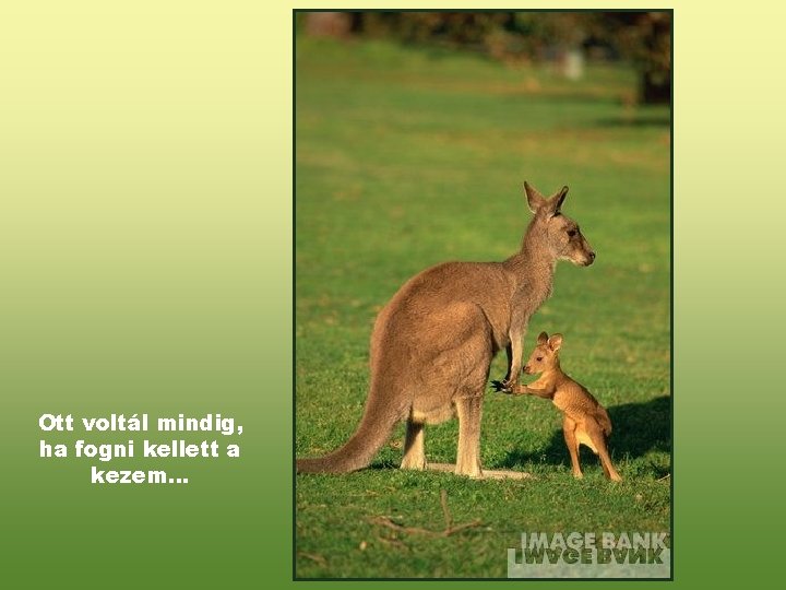 Ott voltál mindig, ha fogni kellett a kezem… 