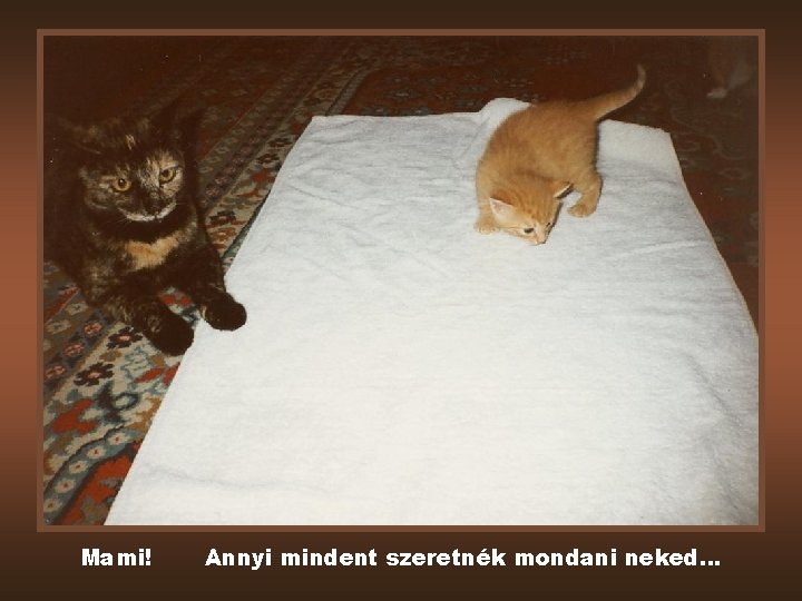 Mami! Annyi mindent szeretnék mondani neked… 