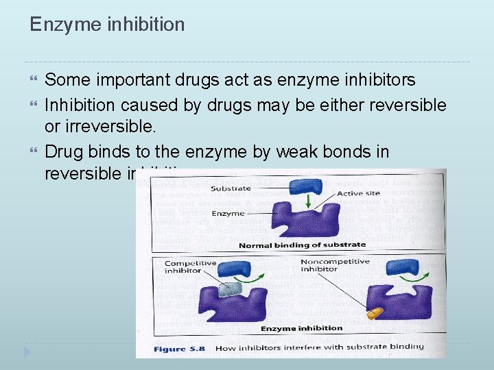 Enzyme inhibition Some important drugs act as enzyme inhibitors Inhibition caused by drugs may