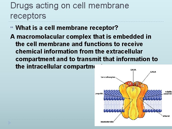 Drugs acting on cell membrane receptors What is a cell membrane receptor? A macromolacular