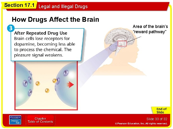 Section 17. 1 Legal and Illegal Drugs How Drugs Affect the Brain Area of