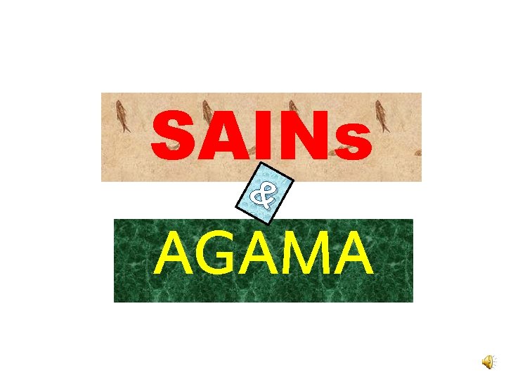 SAINs & AGAMA 