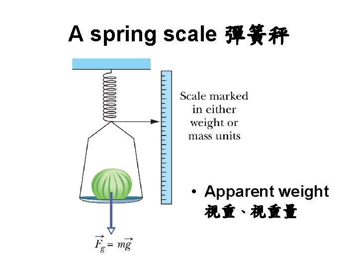A spring scale 彈簧秤 • Apparent weight 視重、視重量 