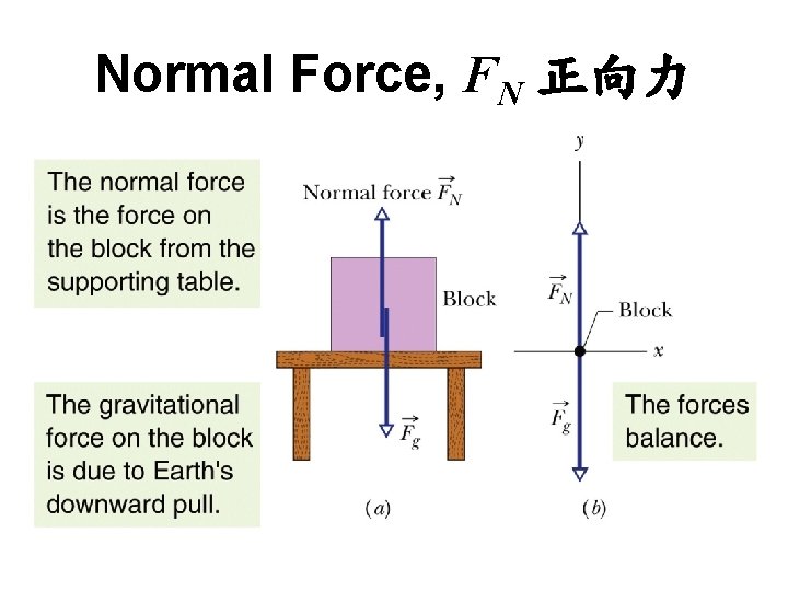 Normal Force, FN 正向力 