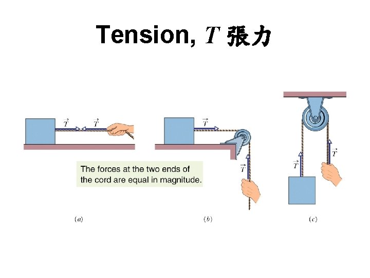 Tension, T 張力 