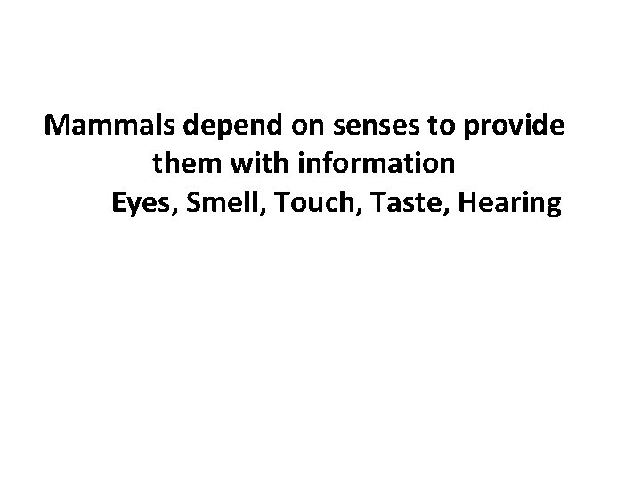 Mammals depend on senses to provide them with information Eyes, Smell, Touch, Taste, Hearing