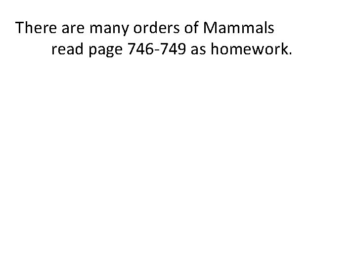 There are many orders of Mammals read page 746 -749 as homework. 