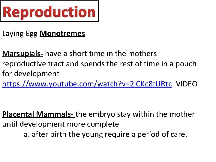 Reproduction Laying Egg Monotremes Marsupials- have a short time in the mothers reproductive tract