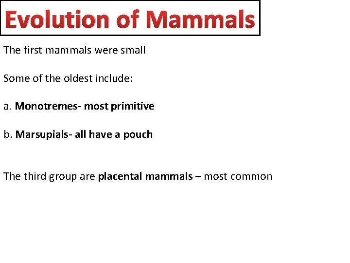 Evolution of Mammals The first mammals were small Some of the oldest include: a.