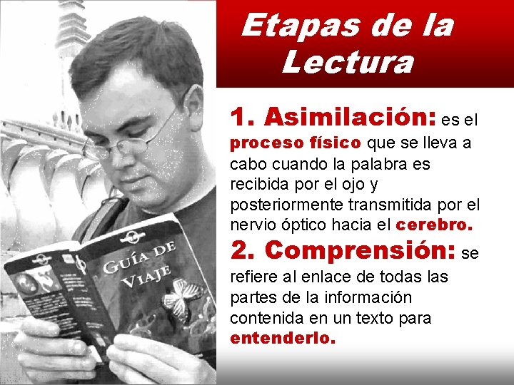 Etapas de la Lectura 1. Asimilación: es el proceso físico que se lleva a