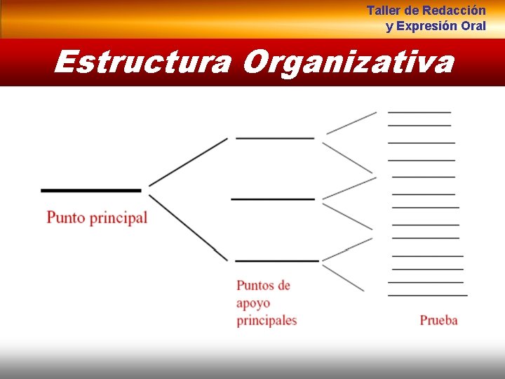 Taller de Redacción y Expresión Oral Estructura Organizativa 