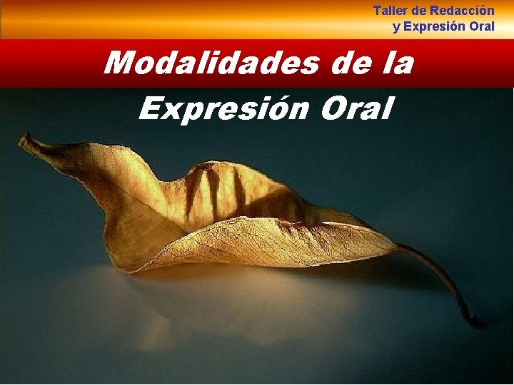 Taller de Redacción y Expresión Oral Modalidades de la Expresión Oral 