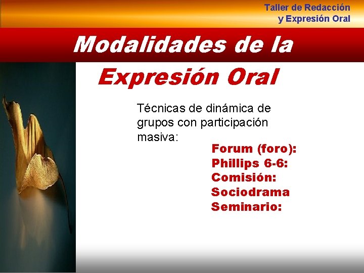 Taller de Redacción y Expresión Oral Modalidades de la Expresión Oral Técnicas de dinámica