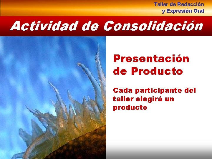 Taller de Redacción y Expresión Oral Actividad de Consolidación Presentación de Producto Cada participante