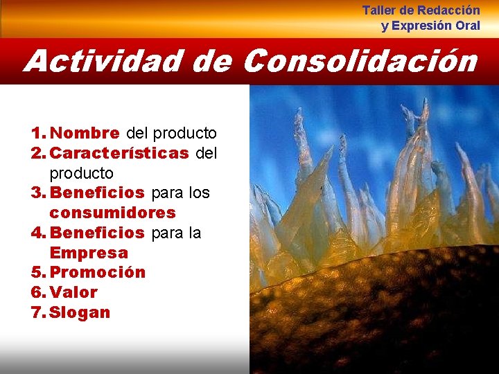 Taller de Redacción y Expresión Oral Actividad de Consolidación 1. Nombre del producto 2.