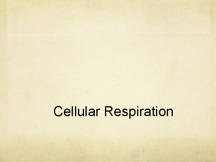 Cellular Respiration 