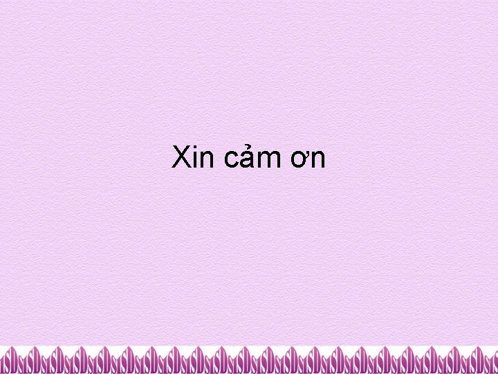 Xin cảm ơn 