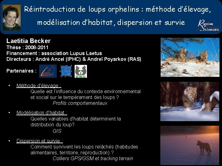Réintroduction de loups orphelins : méthode d’élevage, modélisation d’habitat, dispersion et survie Laetitia Becker