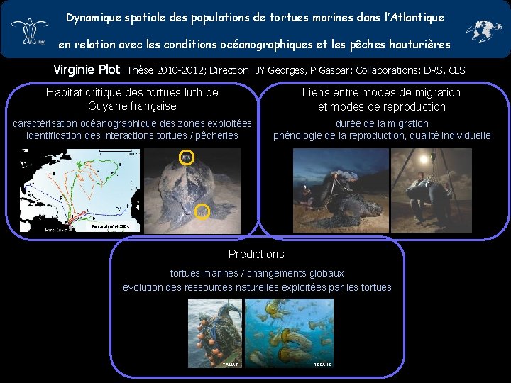 Dynamique spatiale des populations de tortues marines dans l’Atlantique en relation avec les conditions